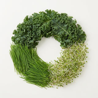 Kale, Wheatgrass & Alfalfa