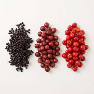 Camu Camu, Acerola & Elderberry